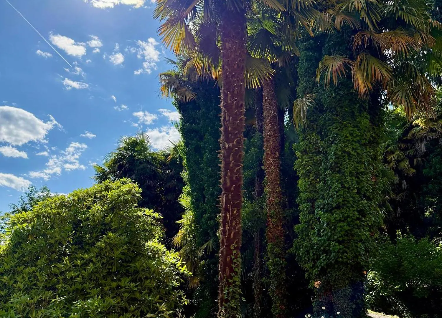 Magic Garden - Since 1911 Διαμέρισμα Luino 0*,  Ιταλία