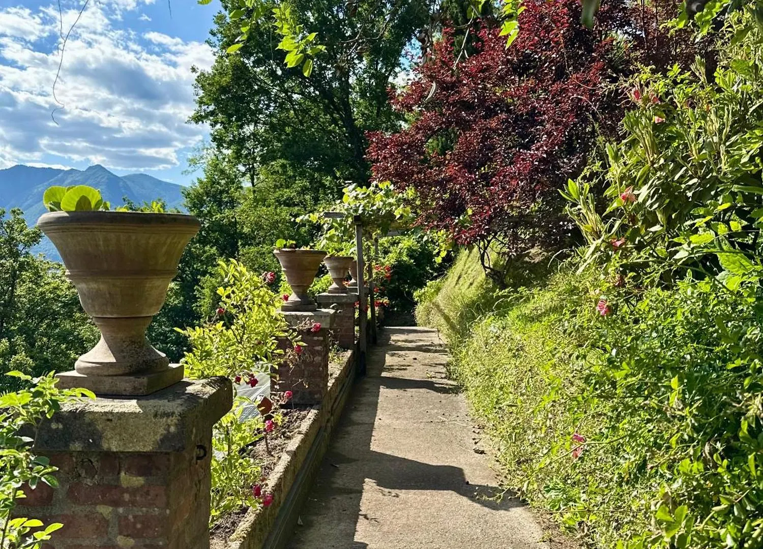 Magic Garden - Since 1911 Διαμέρισμα Luino