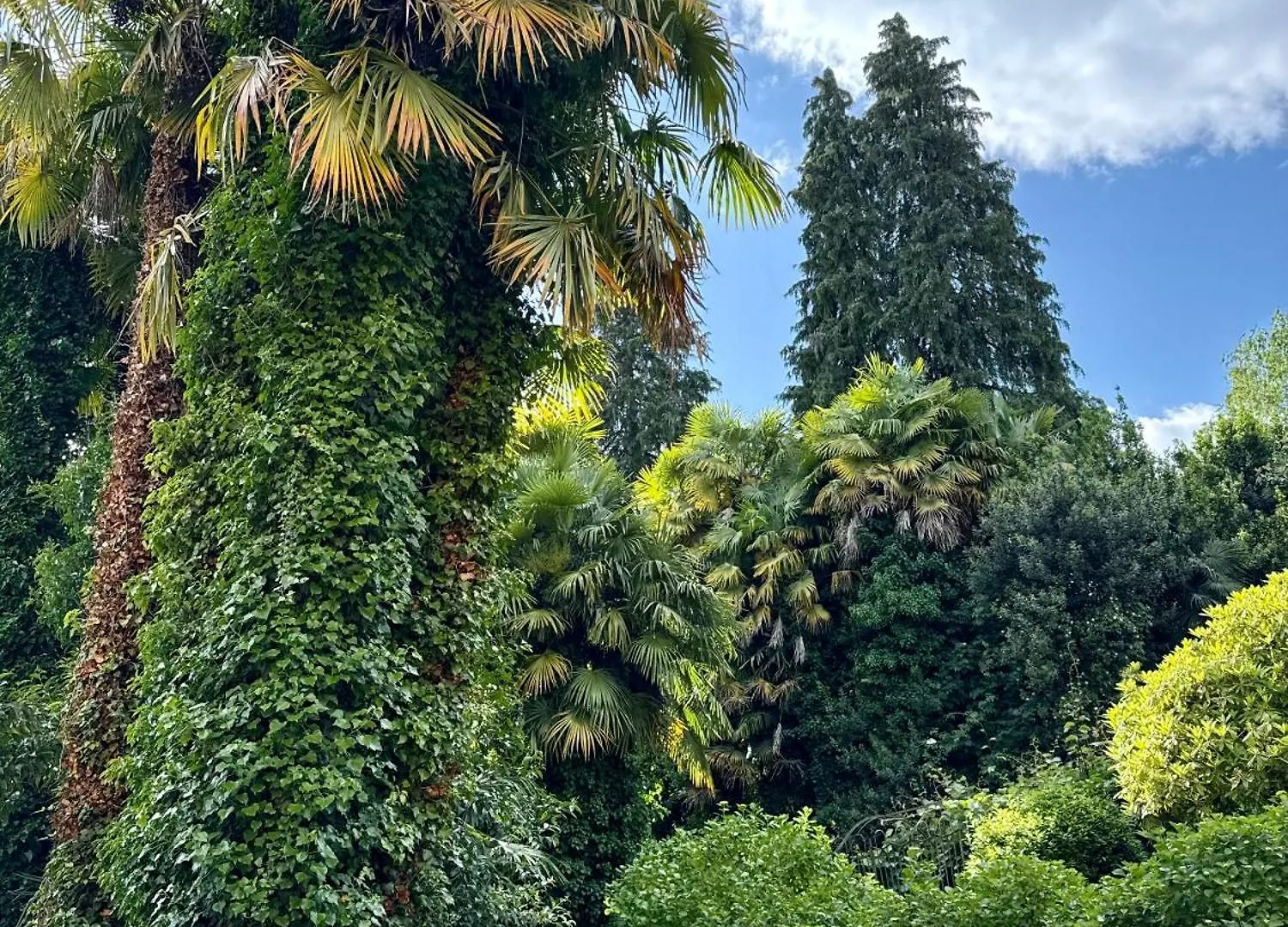 Magic Garden - Since 1911 Διαμέρισμα Luino